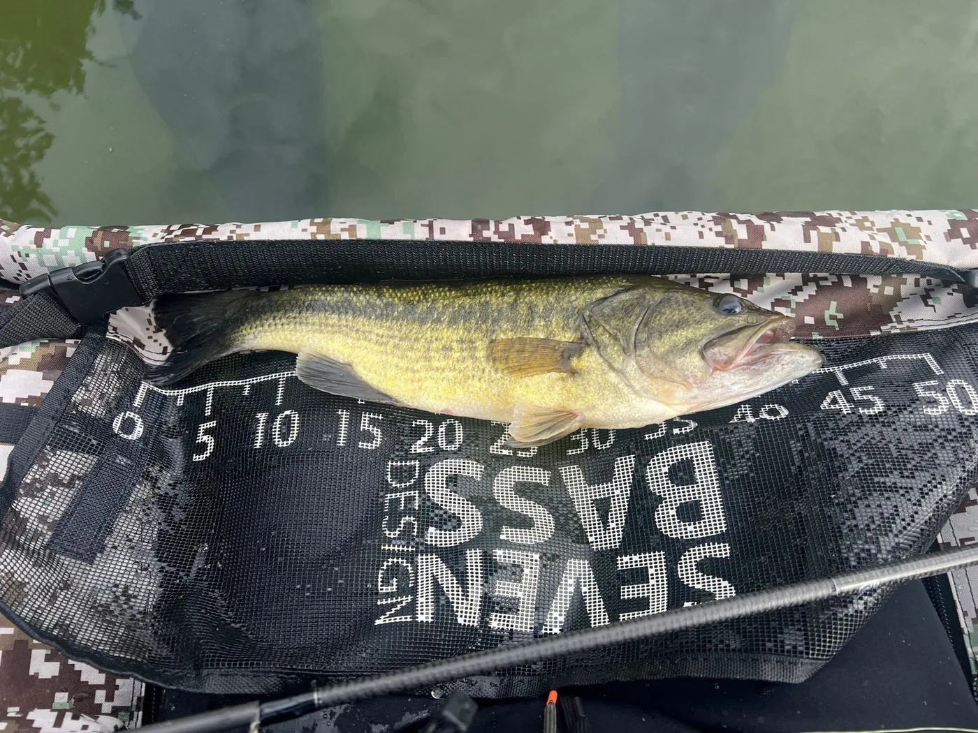 45 cm black bass from a float tube — Domaine du Dahu