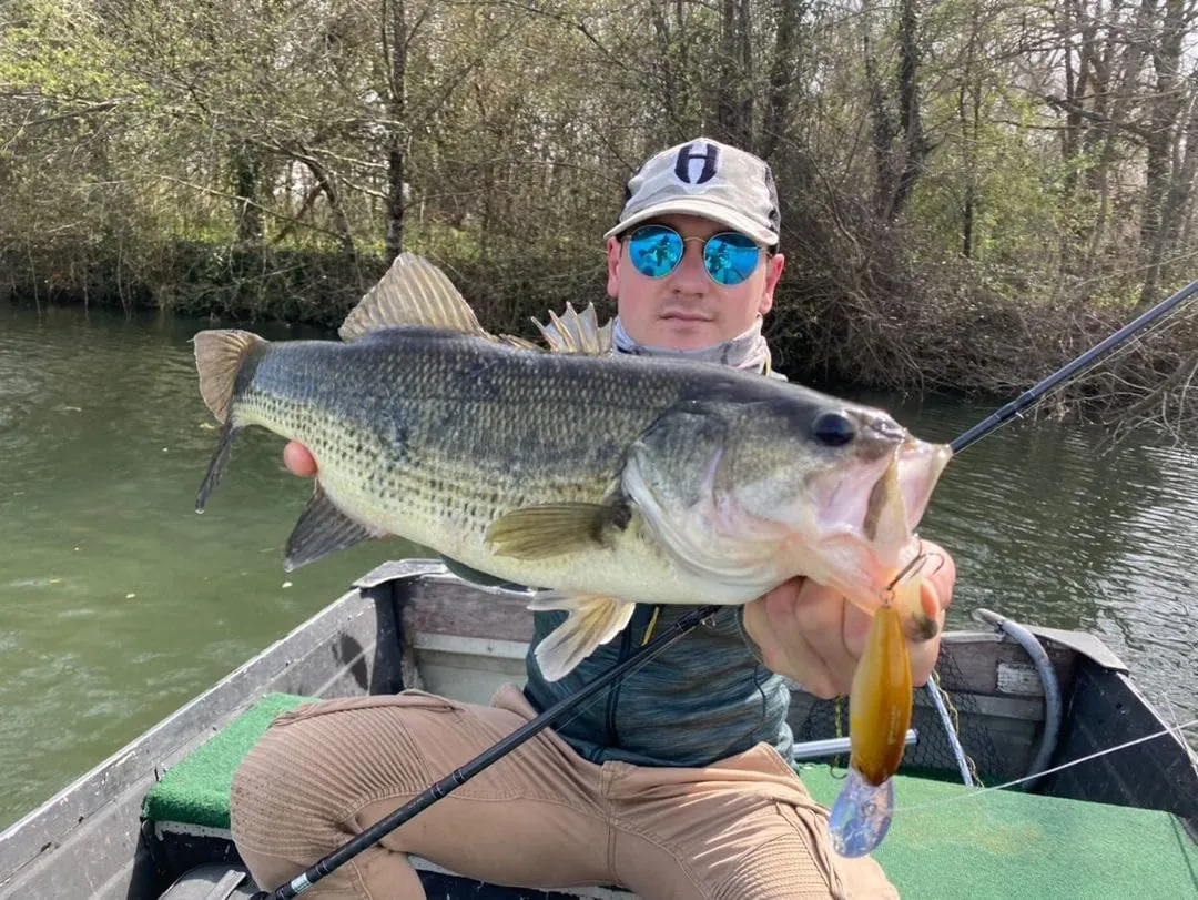 Black bass from the lake — Domaine du Dahu