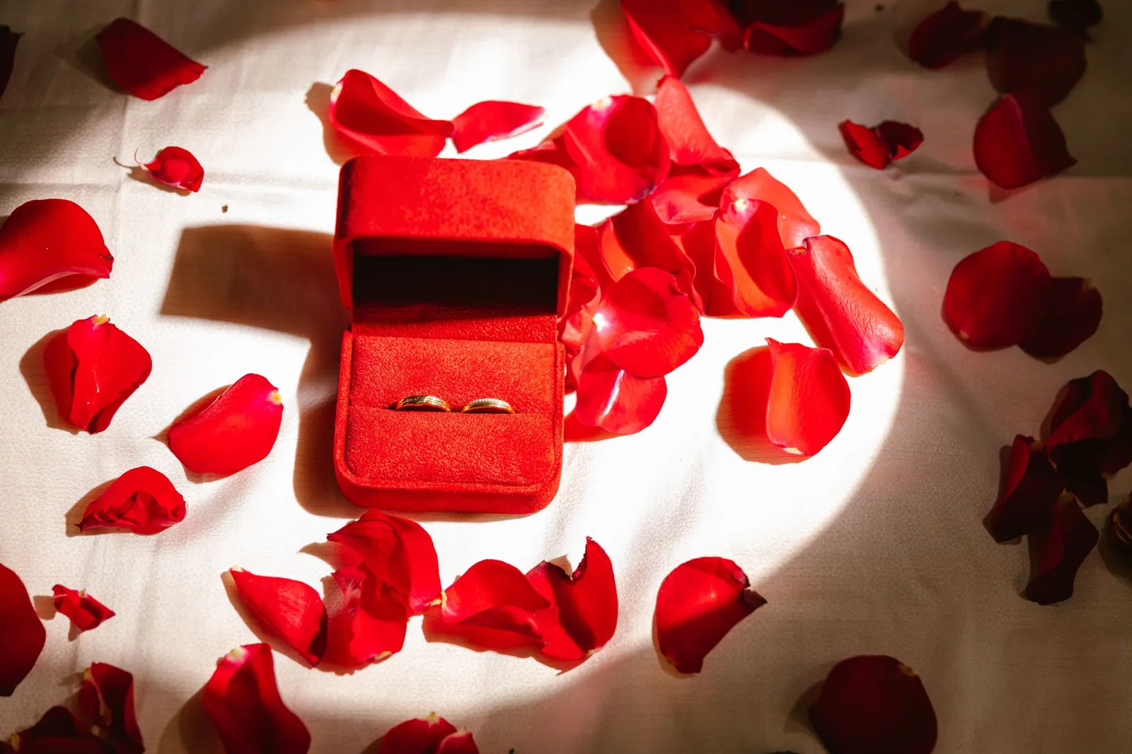 Red ring box with wedding bands on a bed of rose petals