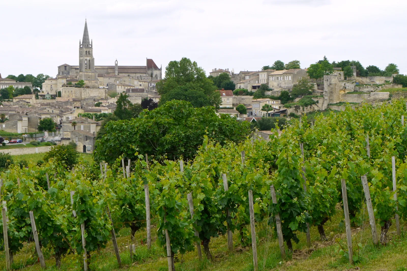 The village of Saint-Émilion and its bell tower, surrounded by vineyards