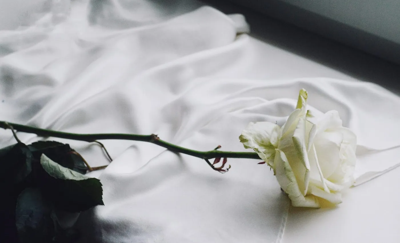 Romantic decoration with a white rose